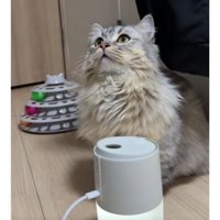 加湿器と猫