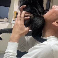 抱っこされる猫の写真3