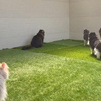 壁に集中