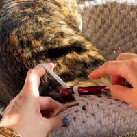 毛糸を編む女性の手