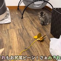 みぞれちゃんの反応