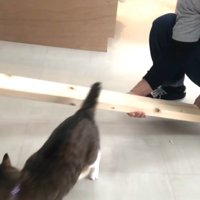 降りて
