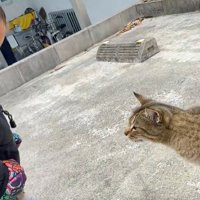 立ち上がった男の子