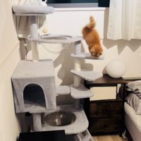 キャットタワーを駆け下りるミヌエット