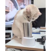猫とタンブラー