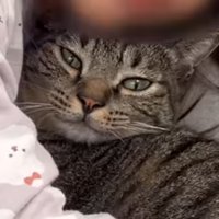 ももまるちゃんのアップ