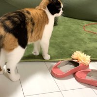 向き合うふたり