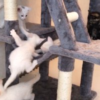 ハンモックにしがみついて