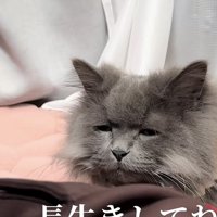 「長生きしてね」のテロップ写真2