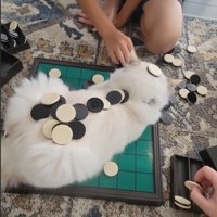 動じない
