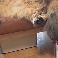 水撒きをするなーさん