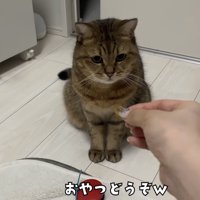 「おやつどうぞｗ」のテロップ写真