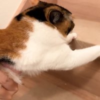 階段にしがみついて