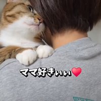 甘える猫