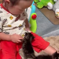 赤ちゃん猫を見守る