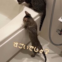 「すごいでしょ」と書かれた写真