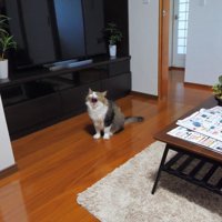 あくび