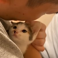 子猫を抱っこする男性