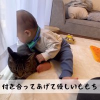 つきあってあげるももち