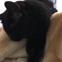 眠る天くんのアップ