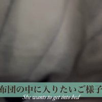 布団の中へ入りたい様子
