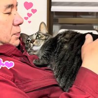 テロップ「ペト」