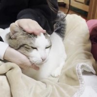 両手で顔を上下から挟まれる豆大福さん