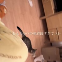 「おもちゃへの執着凄すぎてコレ」のテロップ写真4