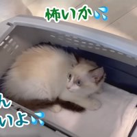 まだ怖いよ