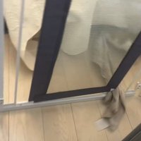 フェンスの隙間に挟まれているタオル