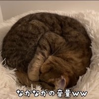 なかなかの音量