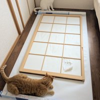 障子の枠と猫たち
