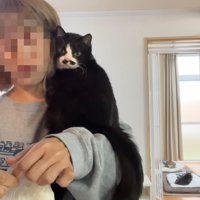 肩の上