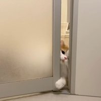 顔を入れようと