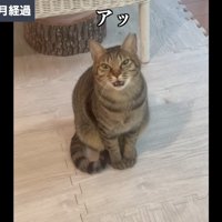保護して11ヶ月