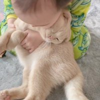 猫を抱きしめる女の子