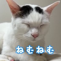 ねむねむ