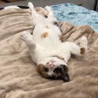 仰向けでお化けの手