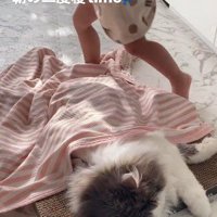 寝ている猫と立ち去る子どもの足