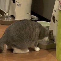 食べる姿(斜め後ろから)