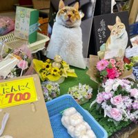 台の上に並べられたいくつもの花束