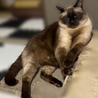 目を閉じたこじろーくん