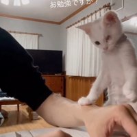 気になる