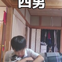 宿題をしている男の子と猫