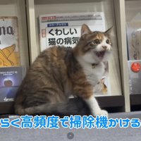 テロップ「しばらく高頻度で～」