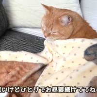 テロップ「悪いけどひとりで～」