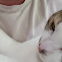 満足そうなコトくん