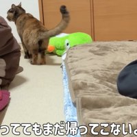 布団の奥で尻尾を上げて横をみる猫「待っててもまだ帰ってこないよ」