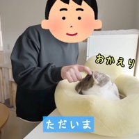 ただいま