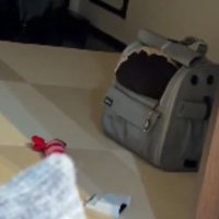 ペットキャリーとクッション